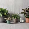 Pflanzkübel GREENER GUYA 20 cm anthrazit – nachhaltiges Pflanzgefäß aus recycelten Materialien UV-beständig frostsicher bruchsicher und stapelbar Bild 5
