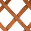 vidaXL Garten-Spalier mit Blumenkasten Orange 45x30x74 cm Tannenholz 314838 Bild 5