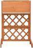 vidaXL Garten-Spalier mit Blumenkasten Orange 45x30x74 cm Tannenholz 314838 Bild 2