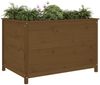 vidaXL Hochbeet Honigbraun 119,5x82,5x78 cm Massivholz Kiefer 825313 Bild 3