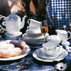 Villeroy & Boch Neufaden Merlemont Tortenheber Bild 2