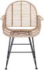 vidaXL Esszimmerstuhl 2 pcs Rattan und Eisen Natur 57 x 55 x 85 cm 42011558 Bild 5