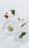 Leonardo Cucina Schale 6er Set, Schüssel, Schälchen, Dekoration, Glas, Ø 10 cm, 100 ml, 66325 Bild 3