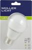 MÜLLER-LICHT 400010 A+, LED, Birnenform, 810lm, 200 Grad, 2700K, Plastik, 9W, E27, Weiß, 10.9 x 6 x 10.9 cm Bild 3