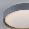 Paul Neuhaus 6118-15 Q-EMILIA Deckenleuchte grau matt holzoptik Bild 5