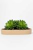 VIVANNO Pflanzschale Fiberglas SOLENA Schale - Arbanecreme Matt Mit Muster (1 St), 35x20x5 cm Bild 3
