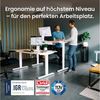 Ergotopia Schreibtisch Desktopia Pro X elektrisch höhenverstellbarer Schreibtisch, elektrisch verstellbarer Bürotisch inkl. edlem OLED-Display Bild 2