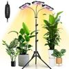 LMaxhome Pflanzenlampe LED Vollspektrum Dimmbar Pflanzenlicht mit Ständer für Zimmerpflanzen, Drei Lampen, 1/2/3 Köpfe, Auto Timer 3/6/12H, 6 Modi Helligkeit, Höhenverstellbar Bild 4
