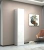 Dmora Mehrzweckgarderobe 1 Tür Bassiano, Mehrzweckschrank mit 1 Tür, Multifunktionsgarderobe, 45x35h190 cm, Weiß Bild 2