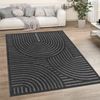 KADIMA DESIGN Teppich Struktur Wohnzimmer schmutzabweisend Teppich Kurzflor, Läufer, Höhe: 14 mm, Florhöhe: 10 mm, 100% Polypropylen, Läufer, 60x100cm, Anthrazit Bild 3