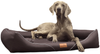 WILLIAM EASY CLEAN Orthopädisches Hundebett - 02 Graphit, 130x100cm Bild 2