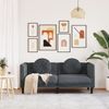 vidaXL Sofa mit Kissen 2-Sitzer Dunkelgrau Samt 372633 Bild 3