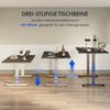 FLEXISPOT Schreibtisch Elektrisch Höhenverstellbarer Schreibtisch EC5 LITE mit Dualmotor (25MM einteiliger Tischplatte & 3-fach Teleskop, 4 Speicherhöhen & Antikollisionssystem), 120x80/140x80/160x80/180x80 Bild 4