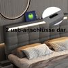 Grau Intelligentes LED Polsterbett 140x200 cm Mit App Steuerung Und 4 Schubladen Doppelbett Mit USB Anschlüssen Music Sync Modus Bild 5