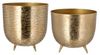 HAC24 Blumentopf 2er Set Design Pflanztopf Blumen Übertopf Blumenkübel Pflanzkübel, Aluminium Rund Matt Gold Ø 18 cm & 22,5 cm Bild 5