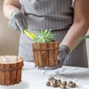 Blumentopf Holz 2er Set 10037604 Bild 3