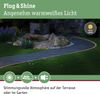 Paulmann 94215 Plug & Shine Neon LED Stripe 6 Montage-Clips 5cm Bild 3