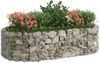 vidaXL Gabionen-Hochbeet Verzinktes Eisen 200x100x50 cm 152040 Bild 3