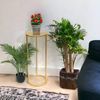 DanDiBo Blumenhocker Metall Gold Rund 70 cm Blumenständer Beistelltisch 96510 L Blumensäule Modern Pflanzenständer Pflanzenhocker Bild 3