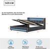 Flieks Polsterbett, LED Hydraulisches Stauraumbett Doppelbett 160x200cm mit USB-Aufladen Bild 4