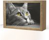 OnlyWow Tischleuchte Lightbox Katze - Schwarz - Weiß - Tiere - Natur, Dimmbar, Farbwechsel, LED, Warmweiß, Kaltweiß, Neutralweiß Einstellbar, Tischlampe, Schreibtischlampe, Desk, Dimmbar, mit Kabel, LED Bild 1