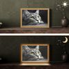 OnlyWow Tischleuchte Lightbox Katze - Schwarz - Weiß - Tiere - Natur, Dimmbar, Farbwechsel, LED, Warmweiß, Kaltweiß, Neutralweiß Einstellbar, Tischlampe, Schreibtischlampe, Desk, Dimmbar, mit Kabel, LED Bild 2