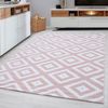 Teppich PLUS PINK 80 X 150cm Rechteck Bild 1