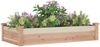 vidaXL Hochbeet mit Einsatz 120x60x25 cm Massivholz Tanne 364289 Bild 3