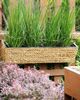 Blumentopf sandbeige rechteckig 80 x 20 x 18 cm KAWALA Bild 3