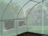 TOOLPORT Foliengewächshaus Gewächshaus 4x6m stabil & langlebig mit Fenster - reißfeste PE Plane 180g/m² grün transparent Bild 4