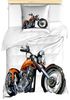 Abakuhaus Bettwäsche Milbensicher Allergiker geeignet mit Kissenbezug, Microfaser, Karikatur Motorrad-Abenteuer Bild 2