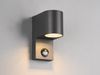 Runde Außenwandleuchte ROYA Downlight mit Bewegungsmelder, Anthrazit, Höhe 15cm Bild 3