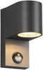 Runde Außenwandleuchte ROYA Downlight mit Bewegungsmelder, Anthrazit, Höhe 15cm Bild 2