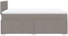 vidaXL Boxspringbett mit Matratze Taupe 120x200 cm Stoff 3289339 Bild 5