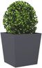 vidaXL Pflanzkübel Anthrazit 50x50x50 cm Stahl 851070 Bild 3