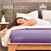 leevitex® Spannbettlaken 90x200 cm - 100x200 cm | Spannbetttuch Bettlaken | 100% Jersey Baumwolle | Matratzenhöhe bis 25 cm | Öko-tex | Flieder/Lavendel Bild 4