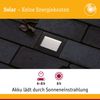 Paulmann 94578 Solar LED Bodeneinbauleuchte Domenic 80mm IP67 3000K Schwarz Bild 2