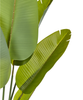 Kunstpflanze BANANA TREE 187 cm Grün Bild 4