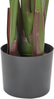 Kunstpflanze BANANA TREE 187 cm Grün Bild 5
