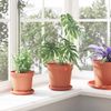 vidaXL Runde Blumenplatte 24 pcs Ziegelrot Ø 14 x 2 cm Kunststoff 42020314 Bild 4