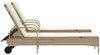 vidaXL Sonnenliegen mit Auflagen 2 Stk. Beige Poly Rattan 3261438 Bild 5