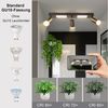 Nettlife Deckenstrahler 1/2/3/4 Flammig GU10 Modern Schwarze Deckenlampe Schwenkbar 350°, LED wechselbar, Warmweiß, Schwenkbar Flurlampe Metall für Schlafzimmer Küche Büro Bild 2