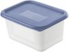 Rotho Gefrierdosen-Set Domino 4 x 0,75 L blau Frischhaltedose Kühlschrankdose Vorratsdose Bild 2