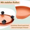 Pflanzenroller Rund Rollbrett Pflanzen Untersetzer Blumenroller Outdoor Pflanzenuntersetzer Blumentopf Untersetzer mit Rollen Pflanzenroller Rund 30 cm Bild 4