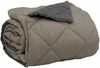 vidaXL Sommerdecke Hellgrau und Anthrazit 240 x 200 cm Mikrofaser 42025516 Bild 5