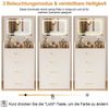 MC Star Schminktisch 3-in-1 mit offenem Spiegel, kleines Schminktisch-Set (Schlafzimmer-Schminktisch,Maße:B60/H118/T40 cm, kompakter Schminktisch mit 3 Schubladen), mit Tischplatte aus Klarglas Bild 2