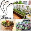Rosnek Pflanzenlampe 1/2/3/4 Köpfe, dimmbar, ein Clip, Timer, für Zimmerpflanzen, Sonnenähnliches Sonnenlicht Vollspektrum (4000K), sonnenähnliches Vollspektrum Bild 3