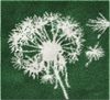 Grund Badematte Pusteblume, Badvorleger, Badezimmer Teppich, sehr weich, Höhe 20 mm, rutschhemmend beschichtet, schnell trocknend, fußbodenheizungsgeeignet, Polyacryl, 2-tlg. Hänge-WC Set, weiche Haptik, auch als 2-teiliges Set erhältlich, Made in Europe Bild 4