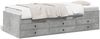 vidaXL Tagesbett mit Schubladen ohne Matratze Betongrau 90x190 cm 3280884 Bild 2