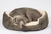 Nobby 'Ceno' Komfortbett, oval, Polyester, beige/braun, 21 x 55 x 50 cm Bild 4